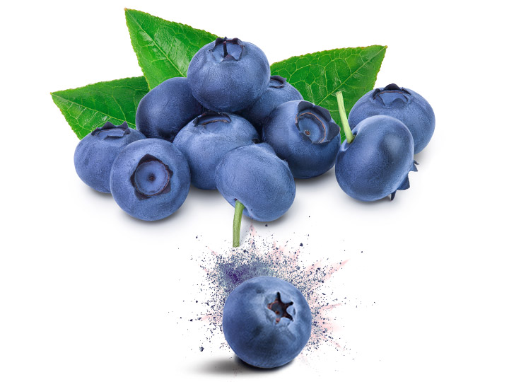 Natur Tanya Good Day hal és marha kollagén frissítő áfonya ízben - 237g