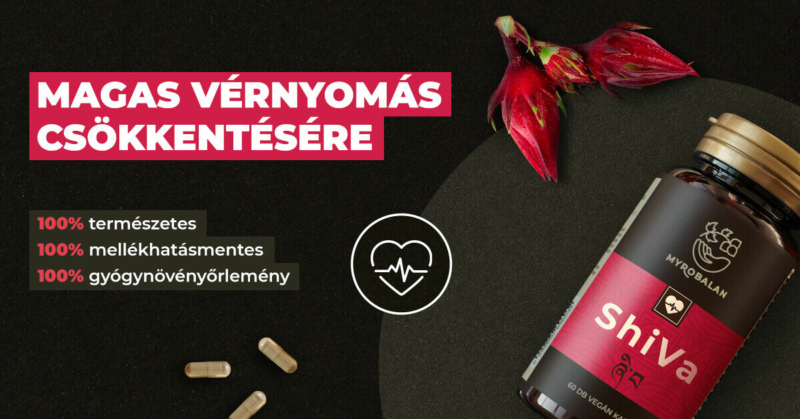 A ShiVa gyógynövényes készítmény 15 - funkciójában és működésében - egymást támogató gyógynövény egysége, melyek vérnyomáscsökkentő hatásuk révén segítik a vérnyomás normalizálását.