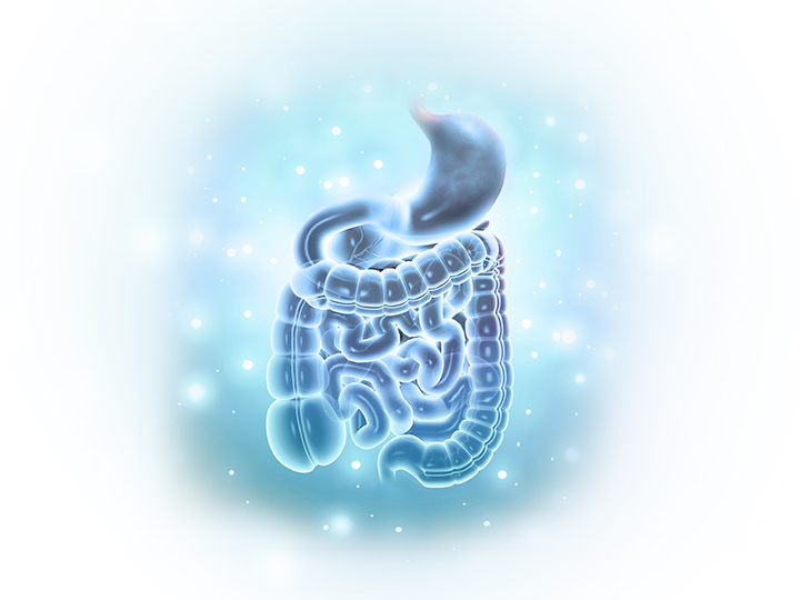 Natur Tanya Emésztőenzim komplex - 30db Natur Tanya Emésztőenzim komplex - 30db